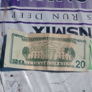 $20 Star Note