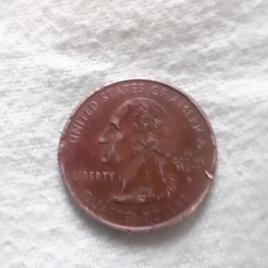 Florida State quarter