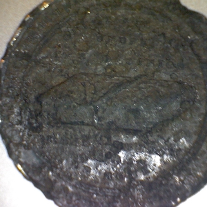 1533 coin?