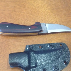 Mini Persian 210$