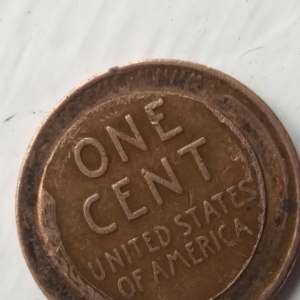 1944 wheat
