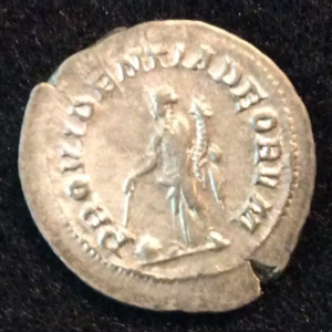 Balbinus rev