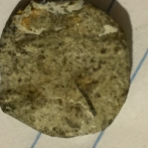 ? Coin