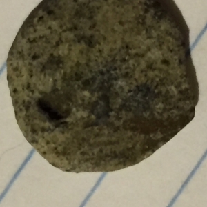 ?coin