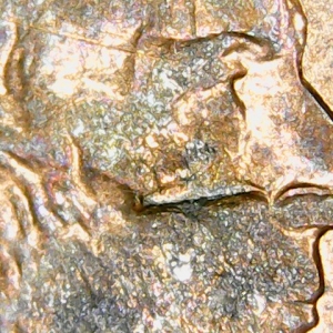 Mint error, or damage?