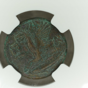 Bosporus/Panticapaeum AE20 4th Century BC