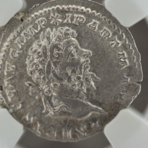 Roman Empire Sept. Severus Denarius AD193-211