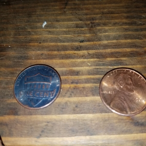 I have here looks to be 2 2018 error pennies but I need more info please help