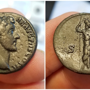 MA Minerva 1264