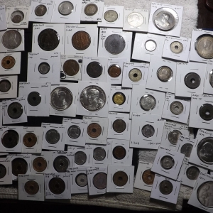 Large Thai lot