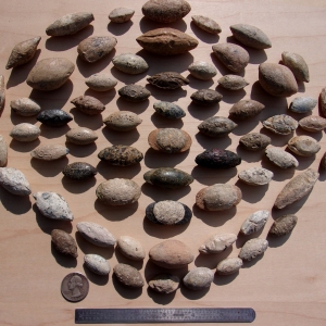 Greek, Roman and Cypriot Sling Bullets