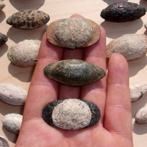Rare Bladed Sling Bullets from Cyprus