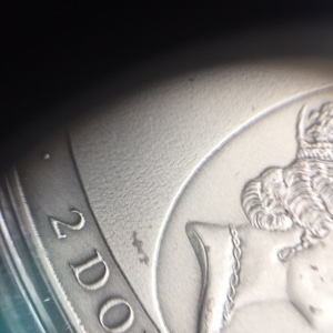 spots on the coin