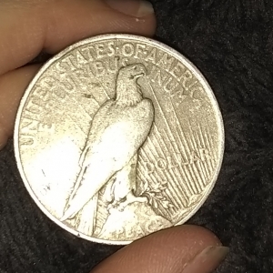 !923 Peace Silver Dollar