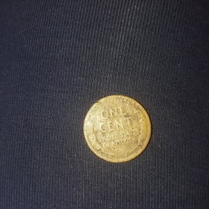 Back of unmarked penny