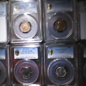 (9) slabbed coins total.