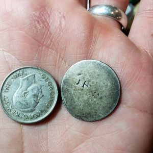 Lion reverse