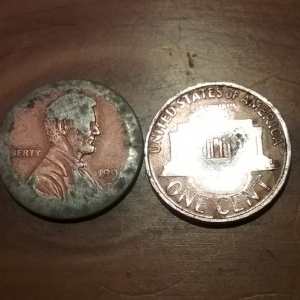 Can anyone tell me about these?