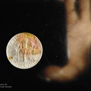 rare dime back