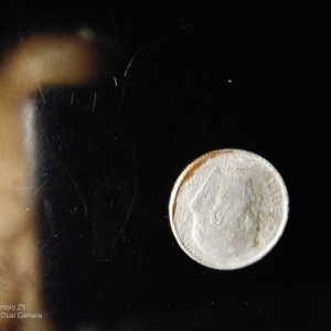 rare dime