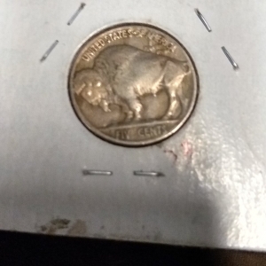 Buffalo nickel BCK