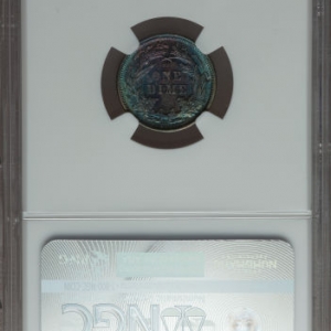 1891 reverse