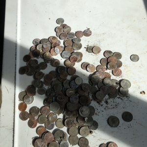 Found after hard rain in my spot