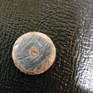 penny1.jpg