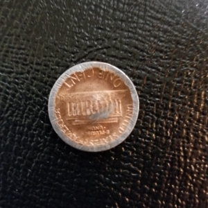 penny2.jpg