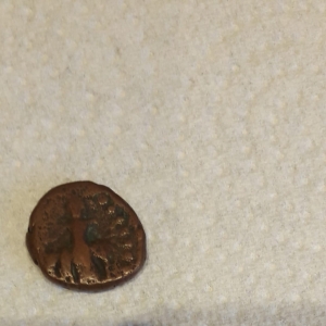 Help to identify this