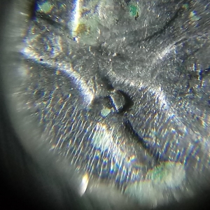 1967 Washington quarter 65x
