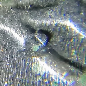 65x magnification