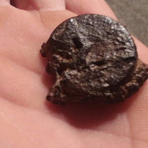 unknown seal