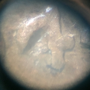 1944 penny