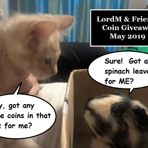 000-2019-05-giveaway-banner.png