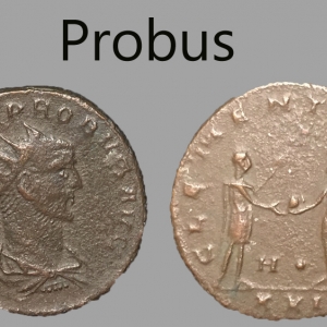 Probus