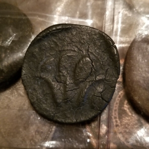 Unique coins