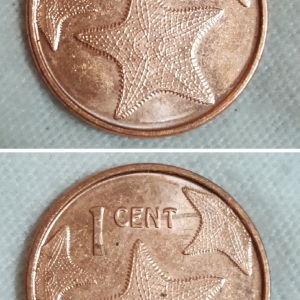 2015 Two Small type - Magnetic 1 Cent Reverses