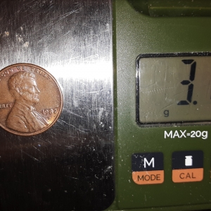 1982 d cooper penny