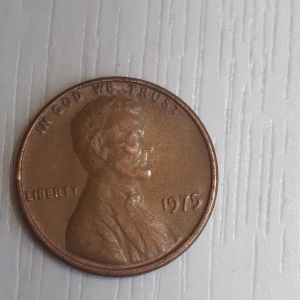 1975 mint error