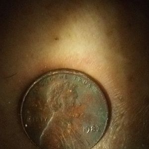 1982 penny