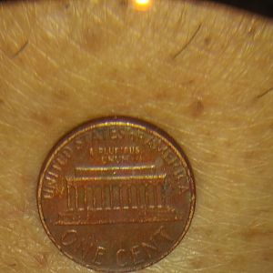 1982 penny