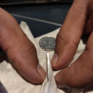 Silver quarter 2000s Edge