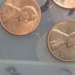 My three small dates 2.5 in weight