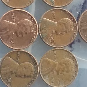 Matt's coins