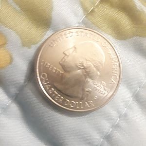 2013 25c Nevada basin sandwich strike error