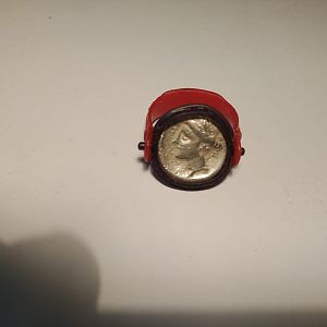 Testa1