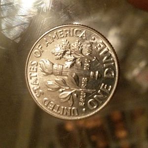 2018d reverse