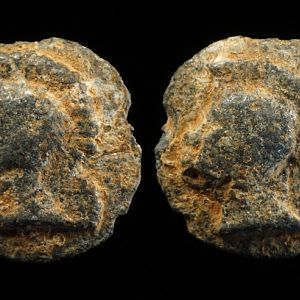 JWT186 Tessera Helmeted Heads
