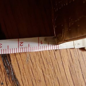 kt width
